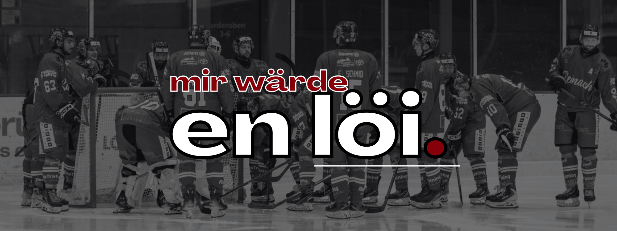 Header_Schmerda-Arnicans-Lascandri-Augstburger