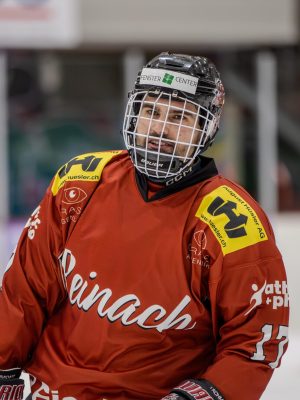 Hockey Reinach Jan