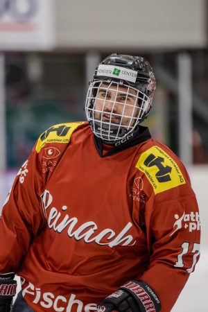 Hockey Reinach Jan